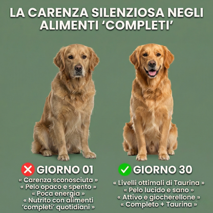VitaTaurina+ - N. 1 raccomandato dai veterinari