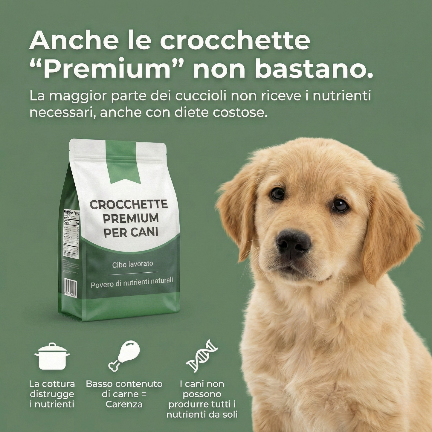 VitaTaurina+ - N. 1 raccomandato dai veterinari